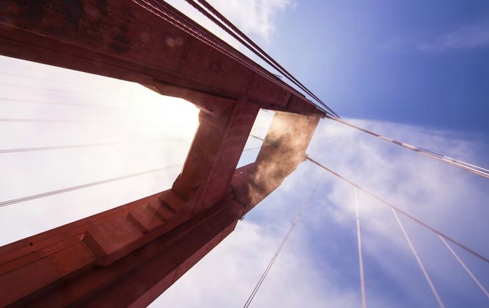 Article Image for Founders Navigating Growth in Competitive Technology Markets