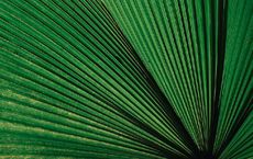 Article Image for Green Bonds and Sustainable Finance