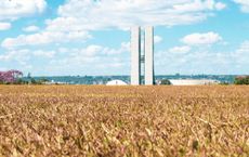 Article Image for How Technology is Modernizing the Agricultural Sector in Brazil