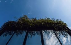 Article Image for Sustainability Influences Corporate Reputation