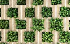 Article Image for Sustainability Moves from Trend to Business Standard