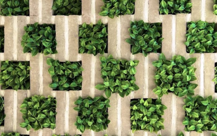 Article Image for Sustainability Moves from Trend to Business Standard