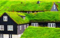 Article Image for Sustainability Practices Driving Business Success in Scandinavian Markets