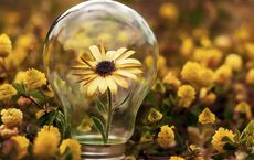 Article Image for Sustainable Innovation Drives Competitive Advantage