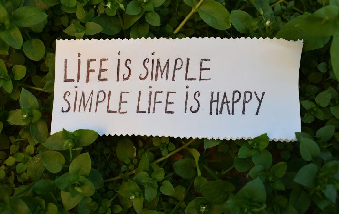 Article Image for Sustainable Lifestyle Choices That Can Save You Money