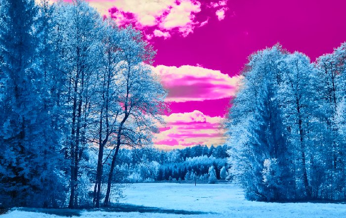 Article Image for The Crypto Winter: Lessons Learned for Future Investors