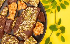 Article Image for The Future of Food: Alternative Proteins and Market Trends